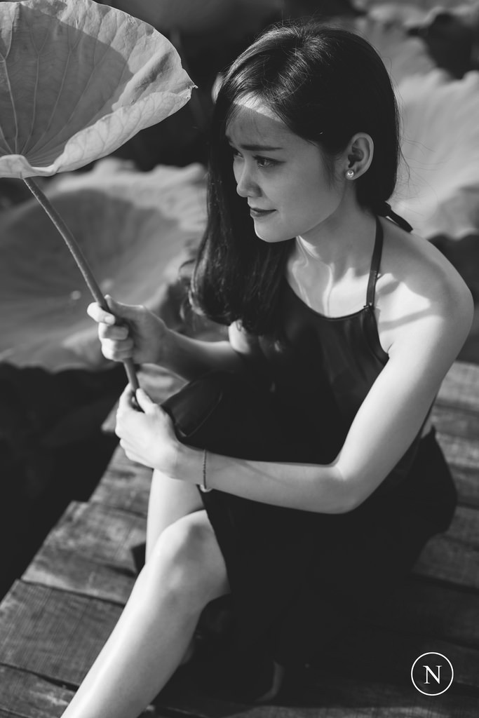 被时间遗忘的土地